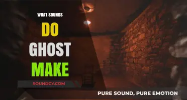 Eerie Whispers and Chilling Noises: Unveiling the Sounds of Ghosts