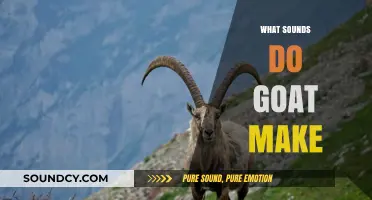 Understanding the Unique Sounds Goats Make and What They Mean