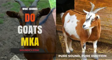 Unraveling the Unique Sounds Goats Make: From Bleats to Calls