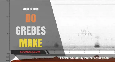 Exploring the Unique Vocalizations: What Sounds Do Grebes Make?