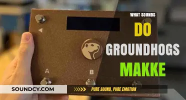 Unveiling the Unique Sounds: What Noises Do Groundhogs Make?