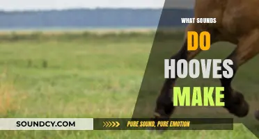 Clop, Clatter, or Thud: Decoding the Sounds of Hooves in Motion