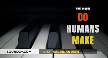 Exploring the Diverse Sounds Humans Make: From Laughter to Language