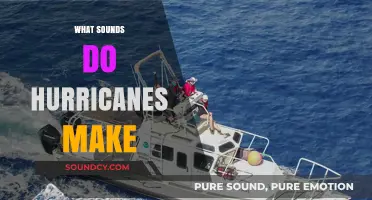 Unveiling the Eerie Soundscape: What Hurricanes Whisper and Roar