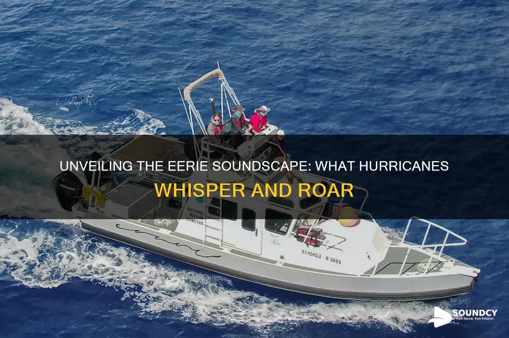 what sounds do hurricanes make