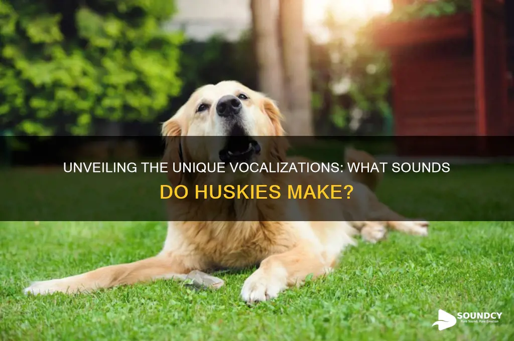 what sounds do huskies make