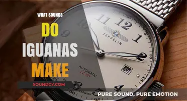Unveiling the Unique Sounds: What Noises Do Iguanas Make?