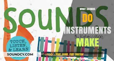 Exploring the Unique Sounds of Musical Instruments: A Comprehensive Guide
