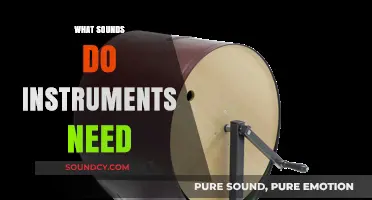 Essential Sounds: What Every Instrument Needs to Create Music