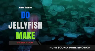 Unveiling the Silent World: Do Jellyfish Produce Any Sounds?