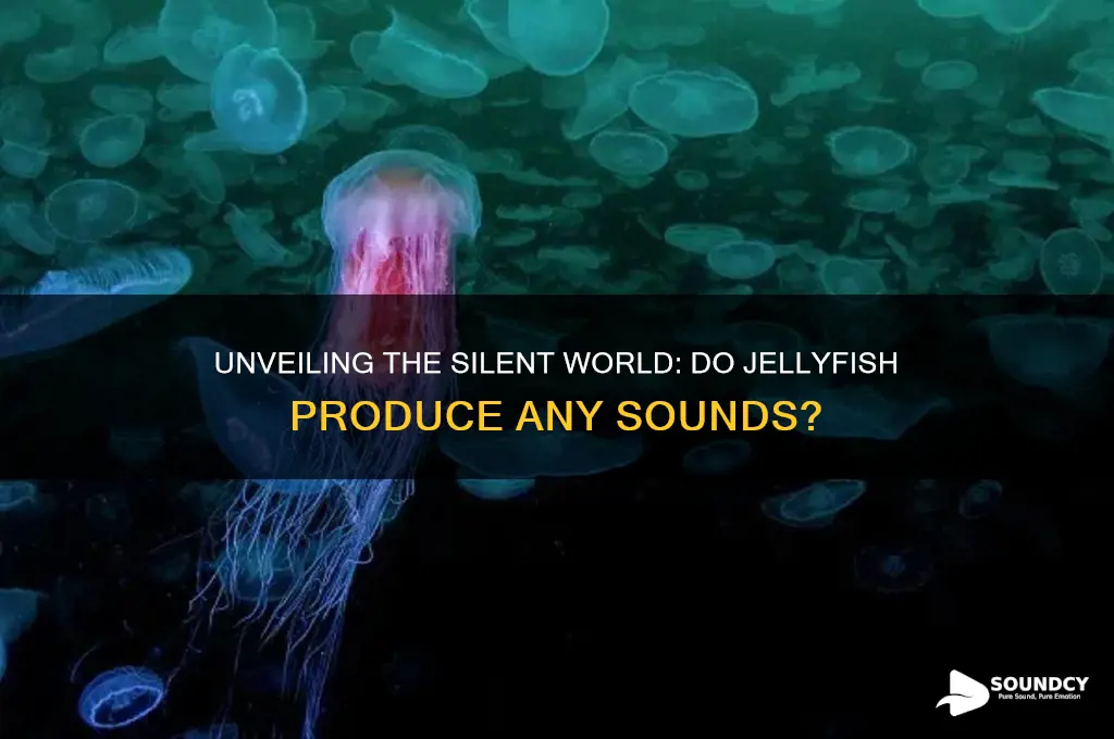 what sounds do jellyfish make