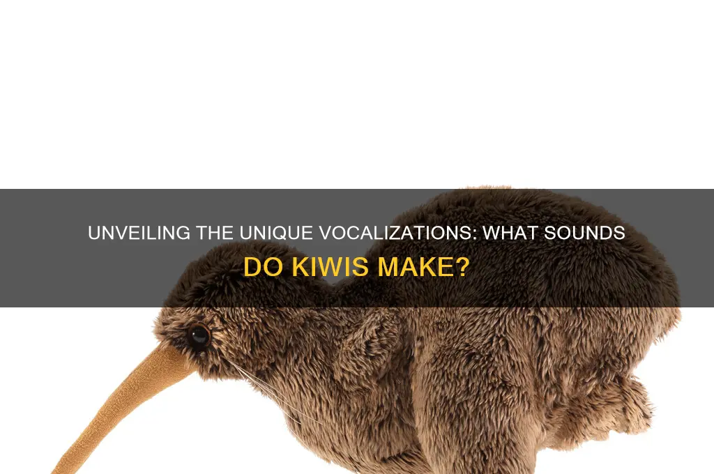 what sounds do kiwis make