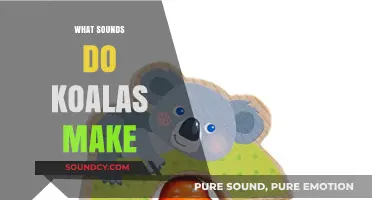 Unveiling the Unique Vocalizations: What Sounds Do Koalas Make?