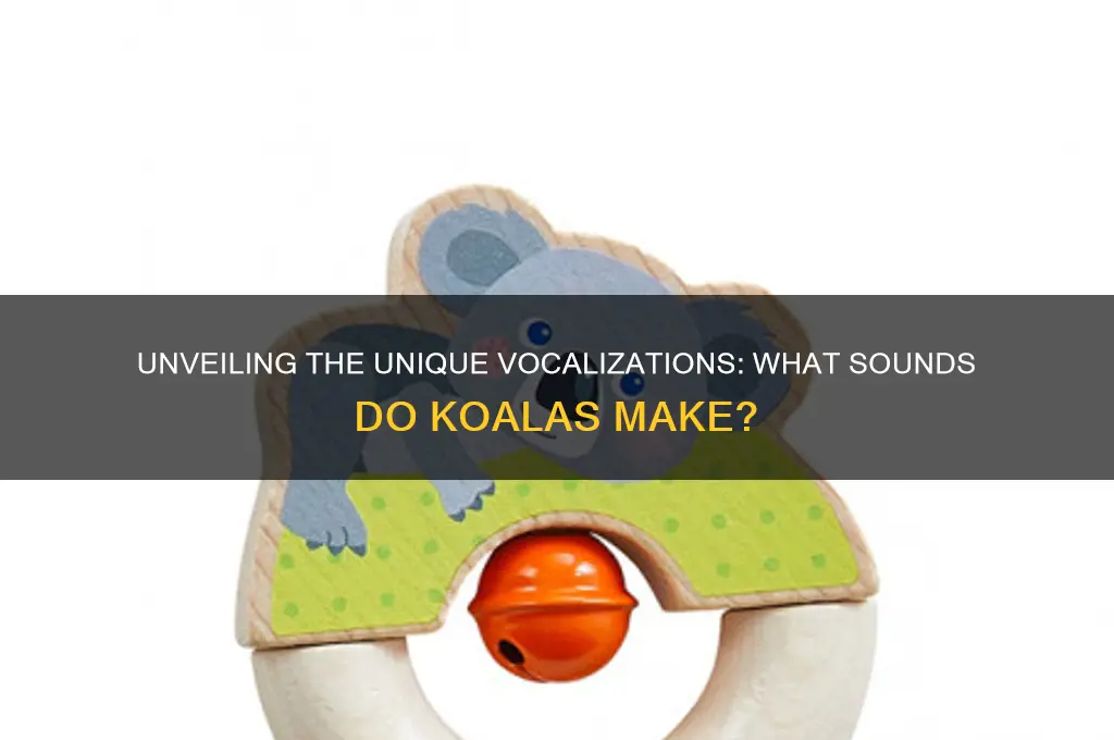 what sounds do koalas make