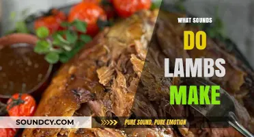 Understanding the Unique Sounds Lambs Make: A Comprehensive Guide