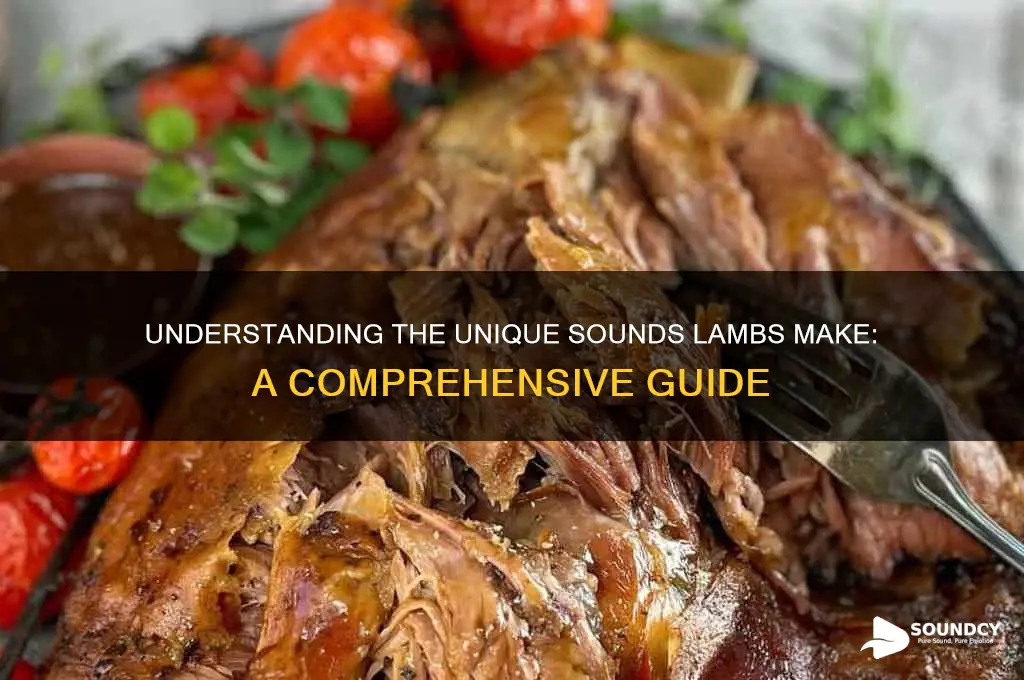 what sounds do lambs make