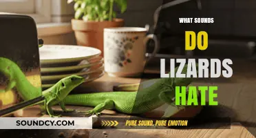 Unwanted Noises: Sounds That Drive Lizards Away Instantly