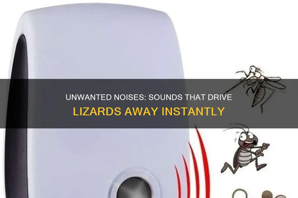 what sounds do lizards hate