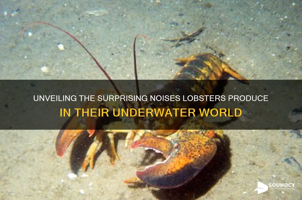 what sounds do lobsters make