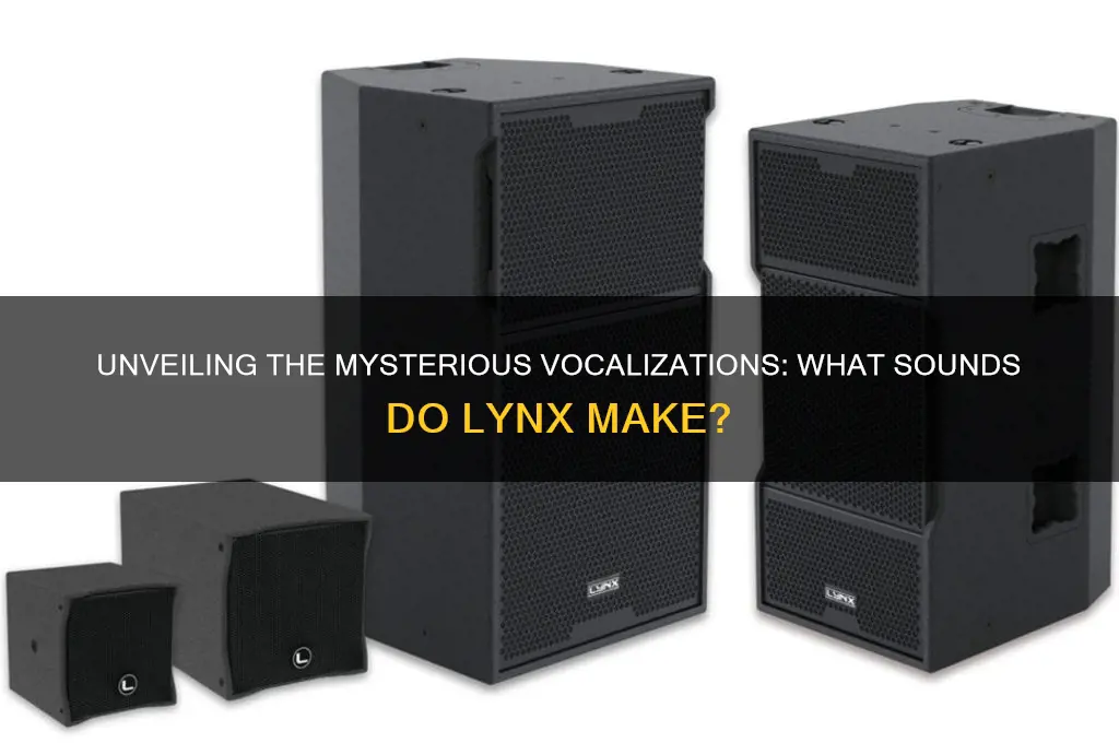 what sounds do lynx make