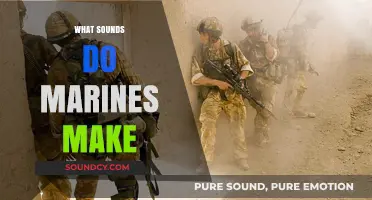 Unveiling the Unique Sounds Marines Make in Combat and Training