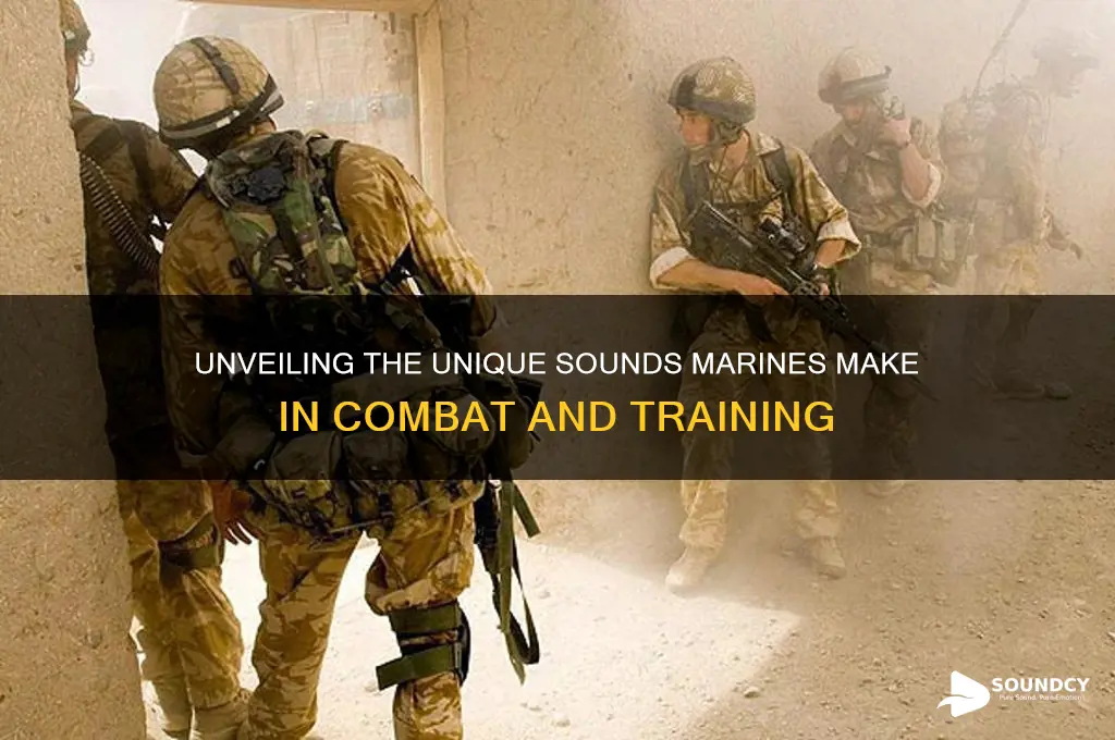 what sounds do marines make