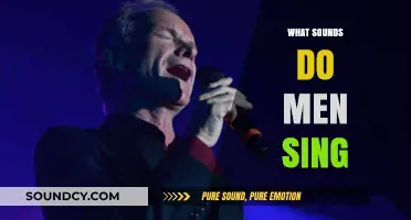 Exploring the Unique Vocal Sounds Men Sing in Music