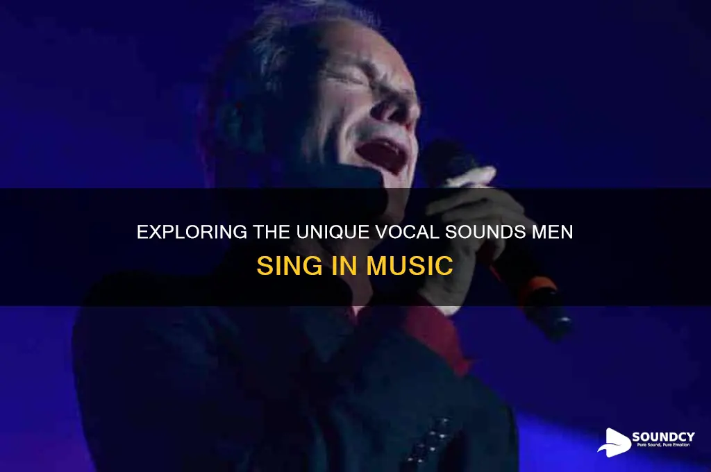 what sounds do men sing