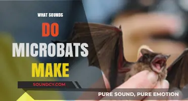 Unveiling the Ultrasonic World: Exploring Microbats' Unique Vocalizations