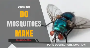 Buzzing Secrets: Decoding the Unique Sounds Mosquitoes Make