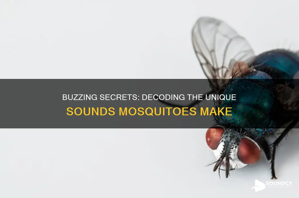 what sounds do mosquitoes make