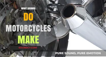Revving Engines: Exploring the Unique Sounds Motorcycles Make