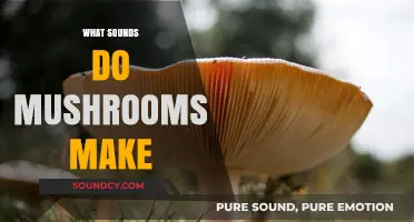 Unveiling the Silent World: Do Mushrooms Produce Audible Sounds?