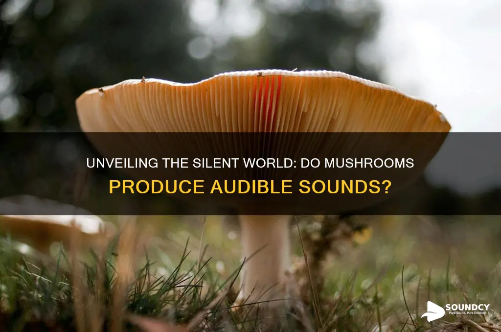 what sounds do mushrooms make