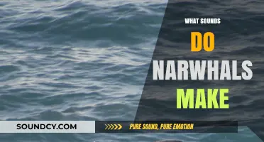 Unveiling the Mysterious Underwater Sounds of Narwhals: A Deep Dive