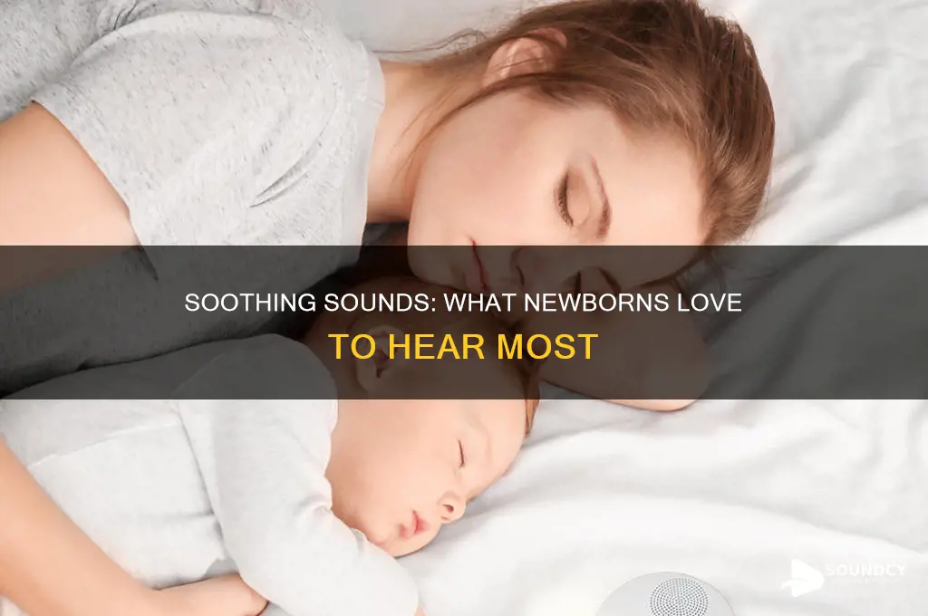 what sounds do newborns like
