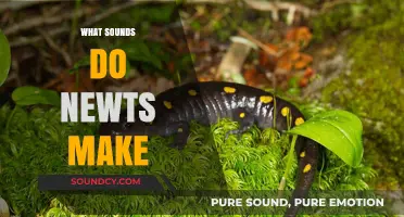 Unveiling the Secret Sounds: What Noises Do Newts Actually Make?
