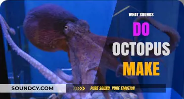 Unveiling the Mysterious Underwater Sounds of Octopuses: What Do They Communicate?