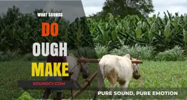 Unraveling the Mystery: What Sounds Does 'Ough' Make in English?