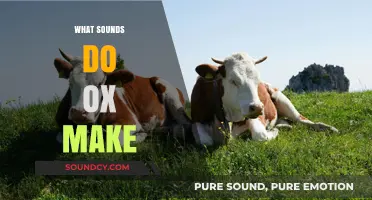 Unveiling the Unique Vocalizations: What Sounds Do Oxen Make?