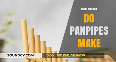 Exploring the Unique, Haunting Sounds of Traditional Panpipes