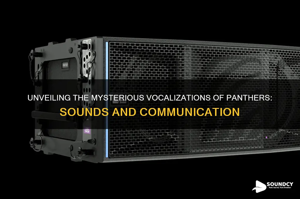 what sounds do panthers make