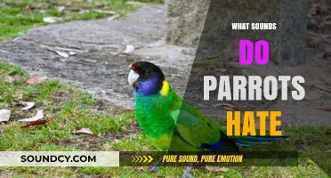 Uncovering Noisy Nightmares: Sounds That Parrots Despise and Avoid