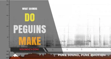 Discover the Unique Vocalizations: What Sounds Do Penguins Make?