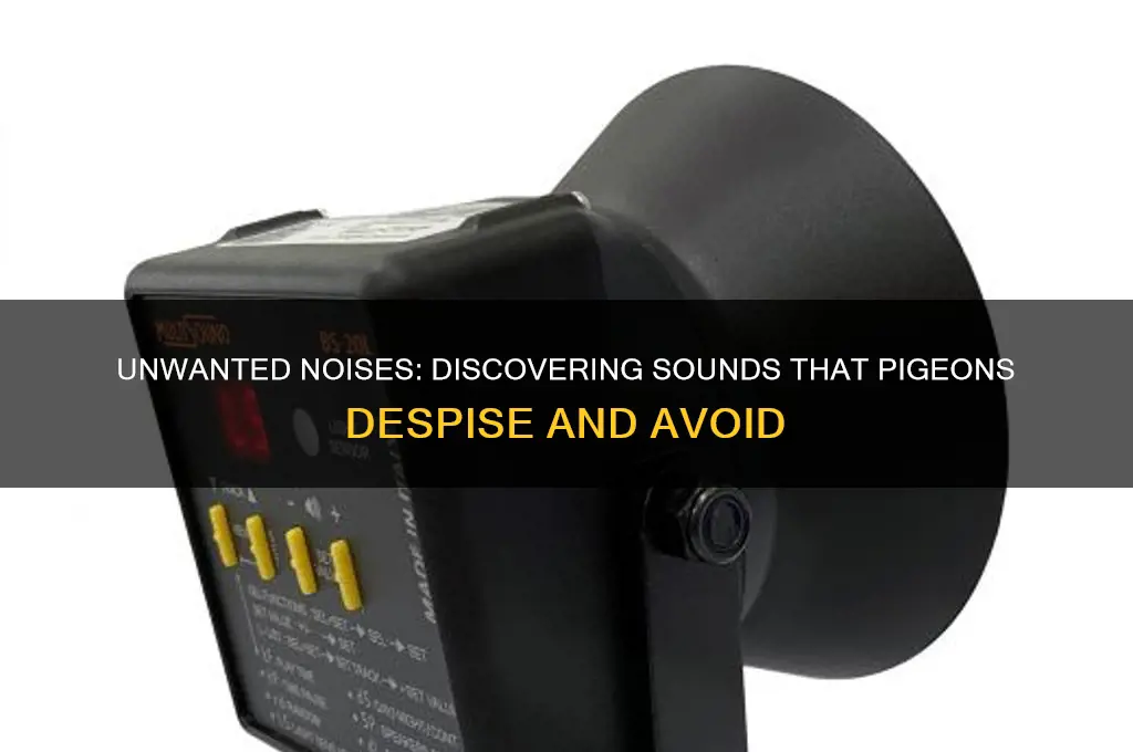 what sounds do pigeons hate