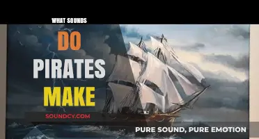 Unveiling the Noisy World of Pirates: Sounds, Slang, and Sea Shanties