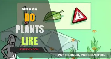 Exploring the Surprising Sounds That Plants Respond To and Thrive On