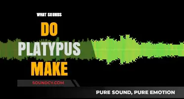 Unveiling the Unique Vocalizations: What Sounds Do Platypuses Make?