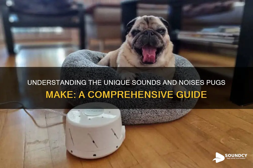 what sounds do pugs make