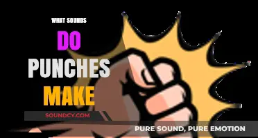 Exploring the Unique Sounds of Punches: From Thuds to Cracks